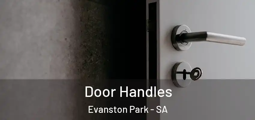  Door Handles Evanston Park - SA