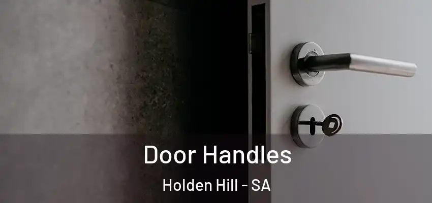  Door Handles Holden Hill - SA