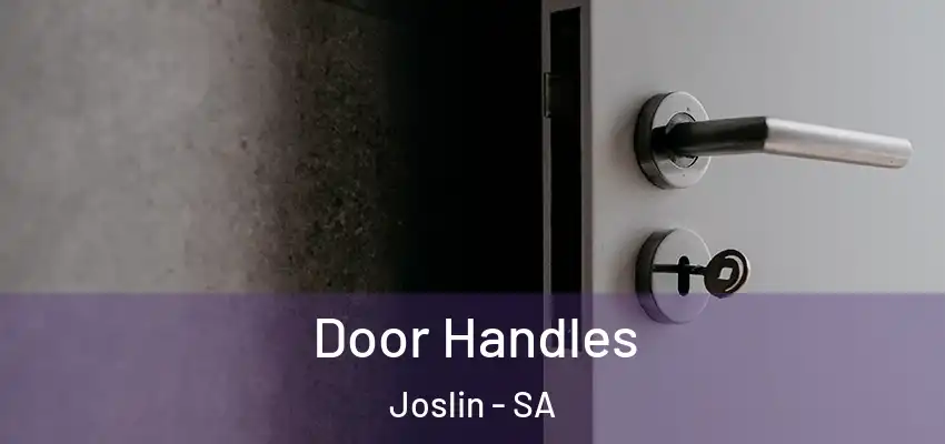 Door Handles Joslin - SA