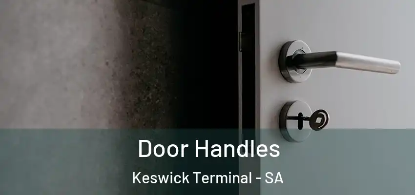 Door Handles Keswick Terminal - SA