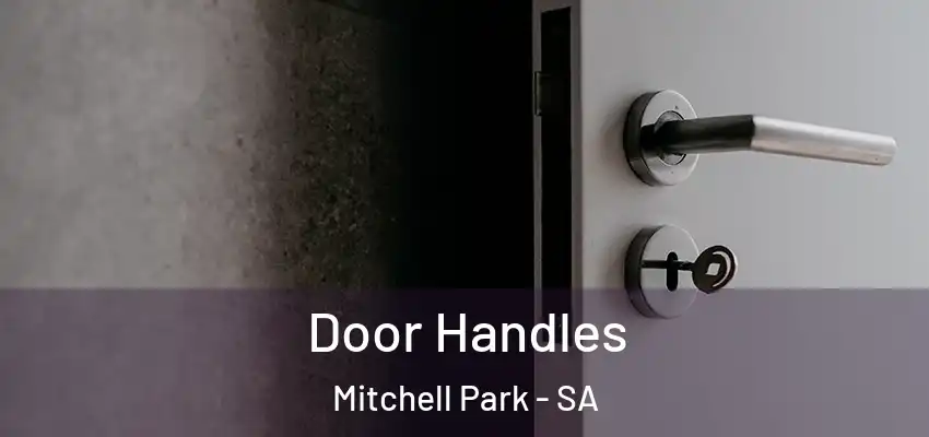 Door Handles Mitchell Park - SA