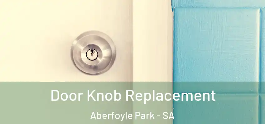  Door Knob Replacement Aberfoyle Park - SA