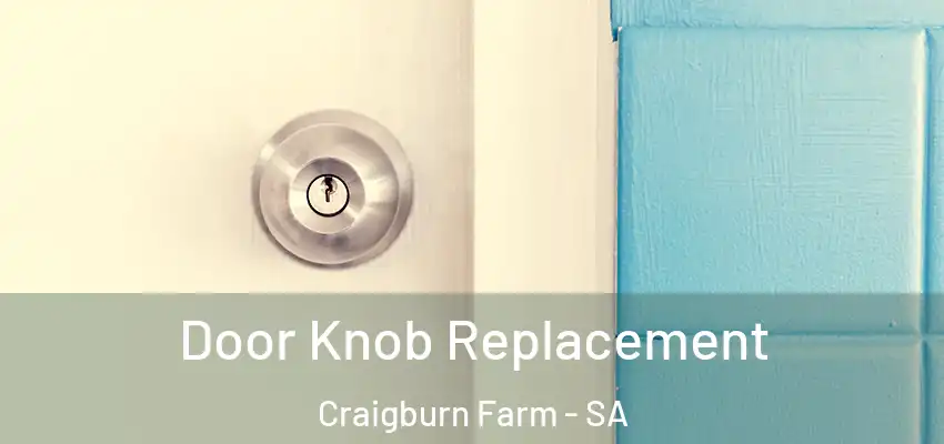 Door Knob Replacement Craigburn Farm - SA