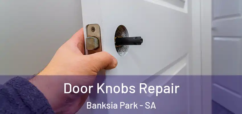 Door Knobs Repair Banksia Park - SA