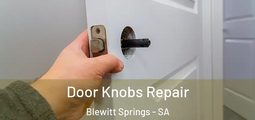 Door Knobs Repair Blewitt Springs - SA