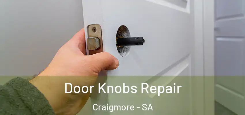 Door Knobs Repair Craigmore - SA
