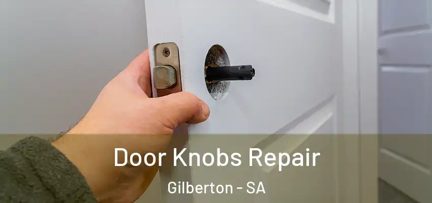 Door Knobs Repair Gilberton - SA