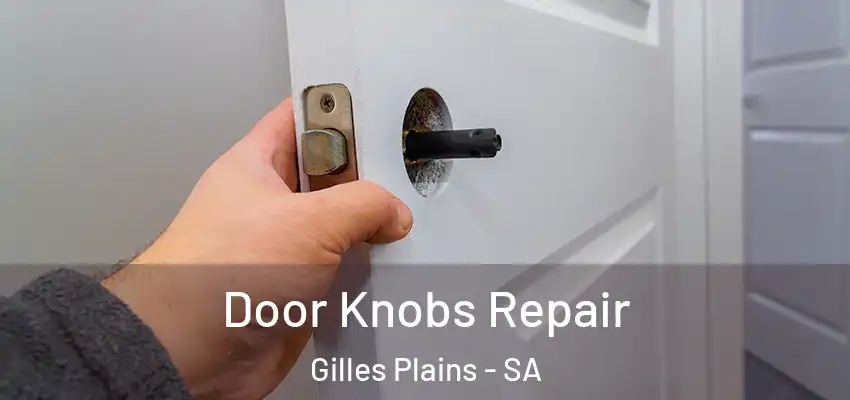 Door Knobs Repair Gilles Plains - SA