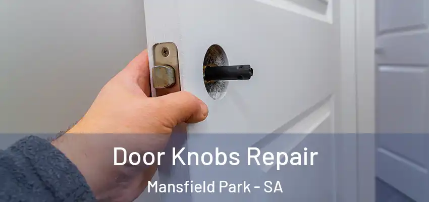 Door Knobs Repair Mansfield Park - SA