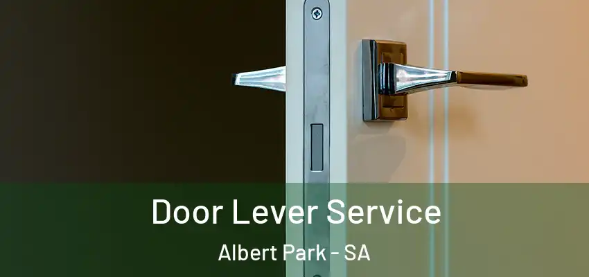 Door Lever Service Albert Park - SA