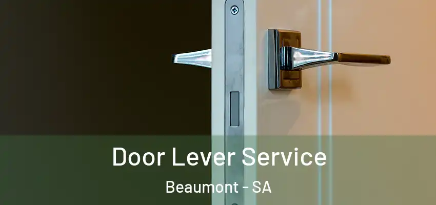 Door Lever Service Beaumont - SA