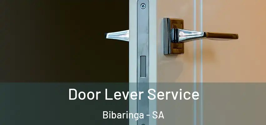  Door Lever Service Bibaringa - SA