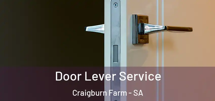 Door Lever Service Craigburn Farm - SA