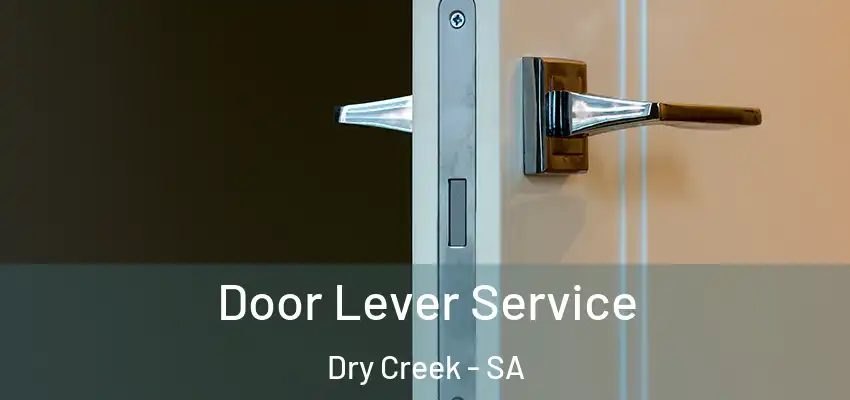  Door Lever Service Dry Creek - SA