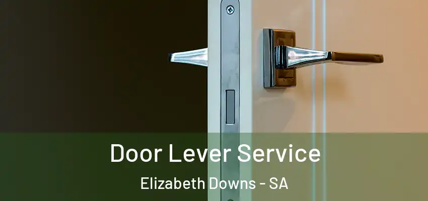  Door Lever Service Elizabeth Downs - SA