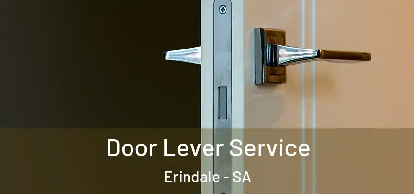 Door Lever Service Erindale - SA