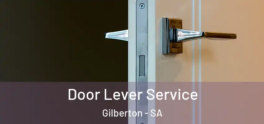 Door Lever Service Gilberton - SA