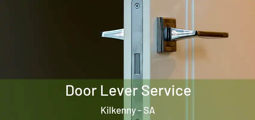  Door Lever Service Kilkenny - SA