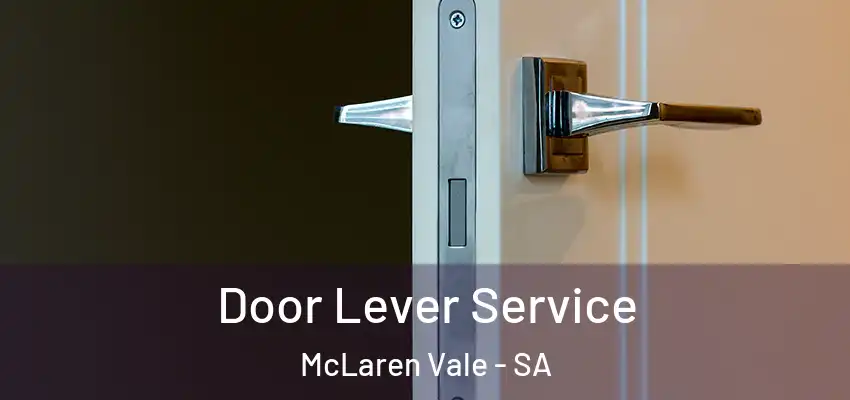  Door Lever Service McLaren Vale - SA