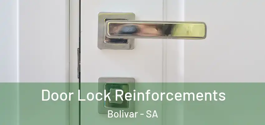 Door Lock Reinforcements Bolivar - SA