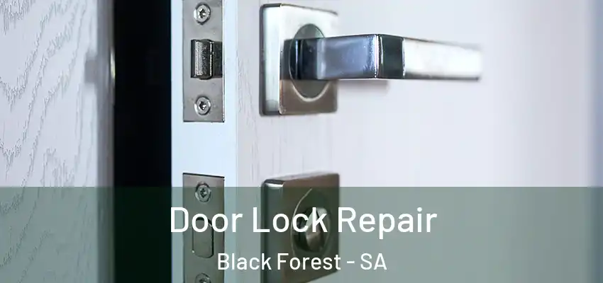 Door Lock Repair Black Forest - SA