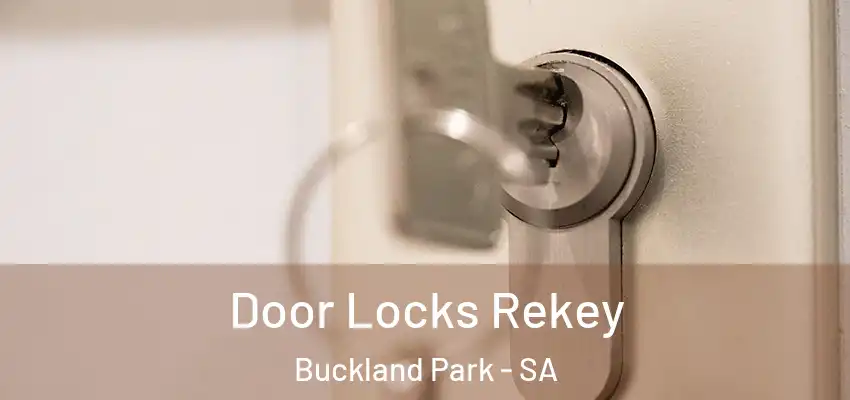  Door Locks Rekey Buckland Park - SA
