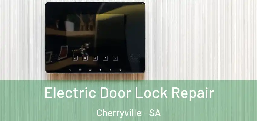 Electric Door Lock Repair Cherryville - SA