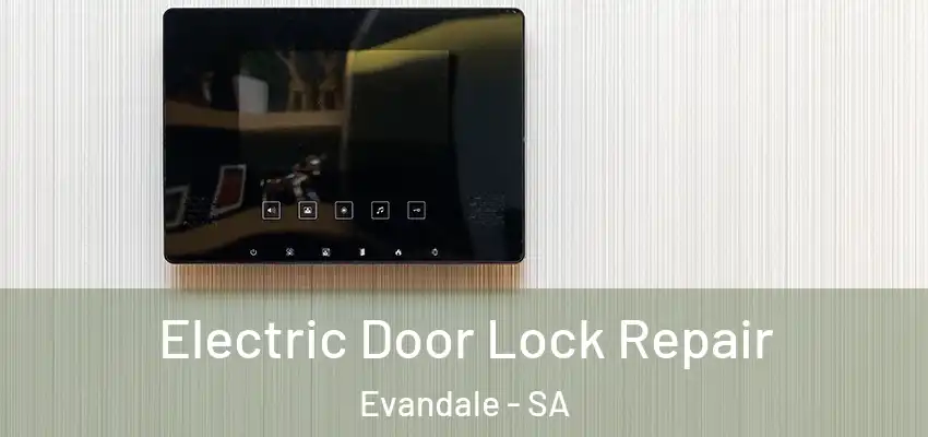 Electric Door Lock Repair Evandale - SA