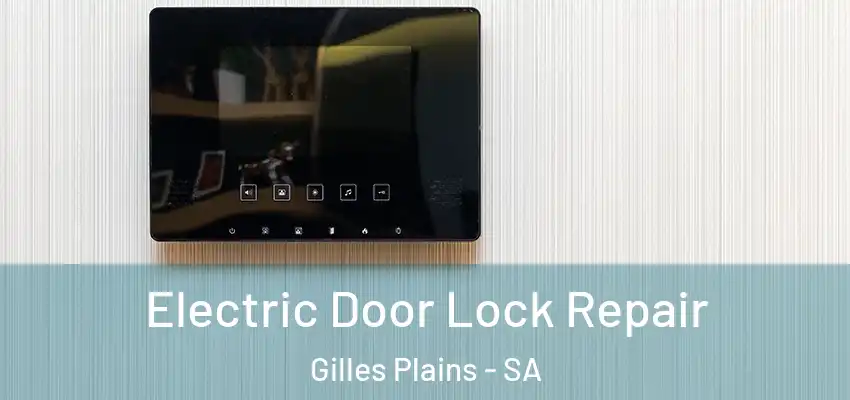 Electric Door Lock Repair Gilles Plains - SA