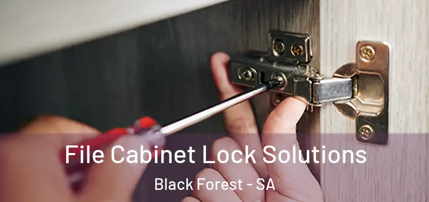 File Cabinet Lock Solutions Black Forest - SA