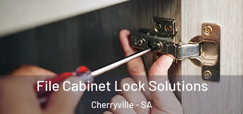 File Cabinet Lock Solutions Cherryville - SA
