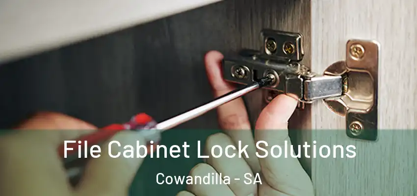File Cabinet Lock Solutions Cowandilla - SA