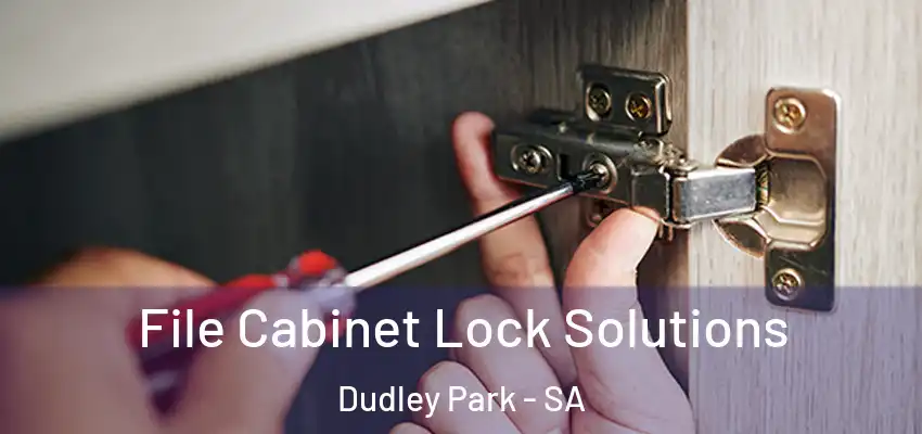File Cabinet Lock Solutions Dudley Park - SA