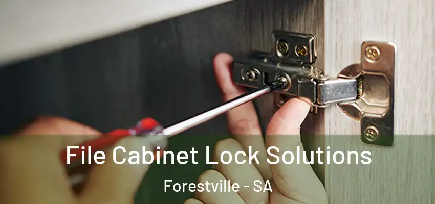  File Cabinet Lock Solutions Forestville - SA