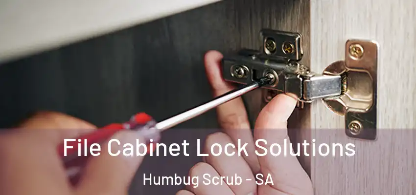 File Cabinet Lock Solutions Humbug Scrub - SA