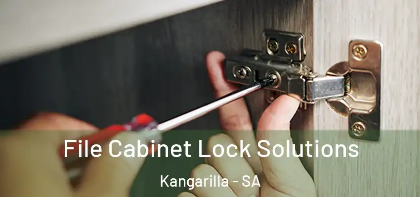 File Cabinet Lock Solutions Kangarilla - SA