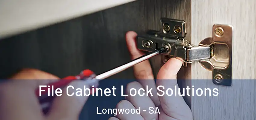  File Cabinet Lock Solutions Longwood - SA