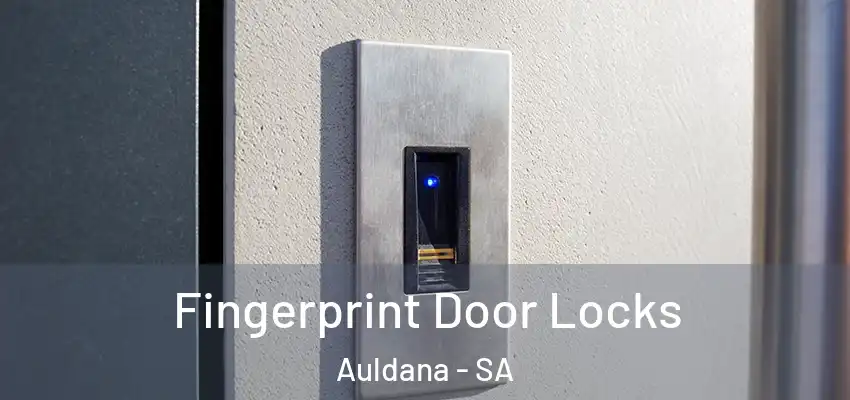 Fingerprint Door Locks Auldana - SA