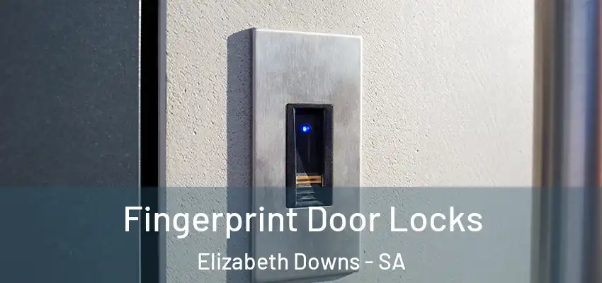 Fingerprint Door Locks Elizabeth Downs - SA