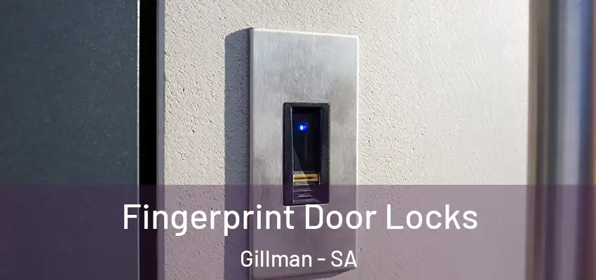 Fingerprint Door Locks Gillman - SA