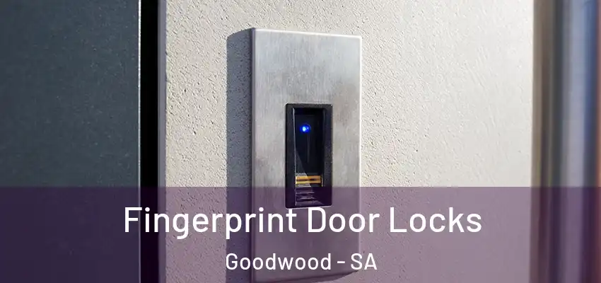 Fingerprint Door Locks Goodwood - SA
