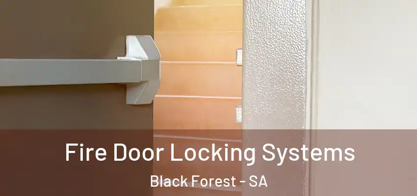 Fire Door Locking Systems Black Forest - SA