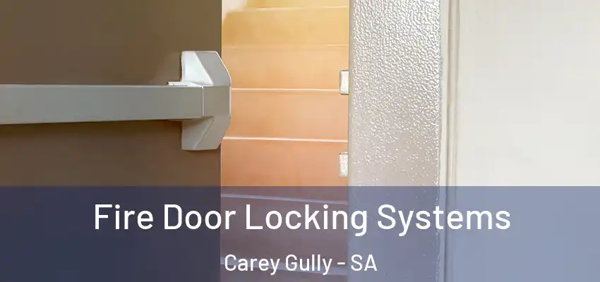  Fire Door Locking Systems Carey Gully - SA