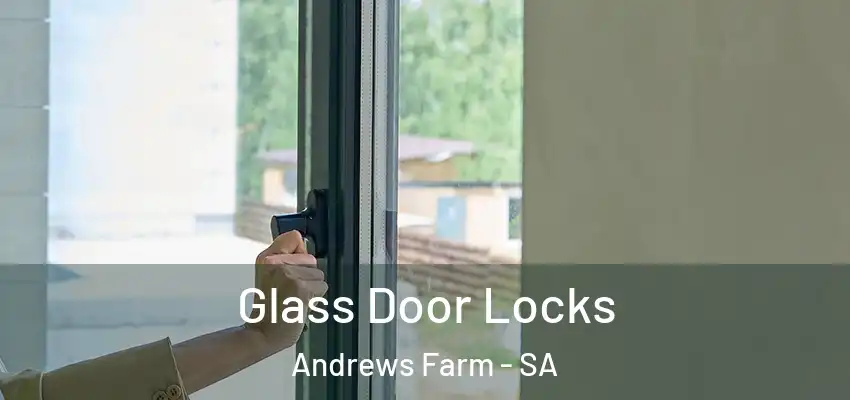Glass Door Locks Andrews Farm - SA