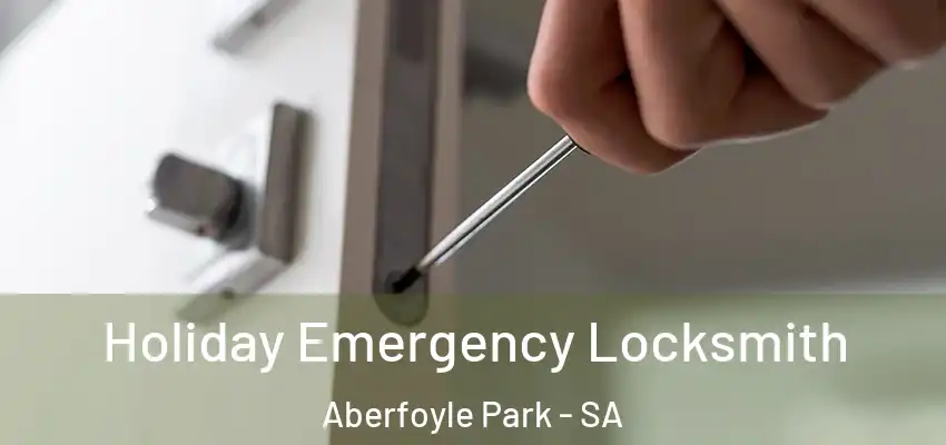 Holiday Emergency Locksmith Aberfoyle Park - SA