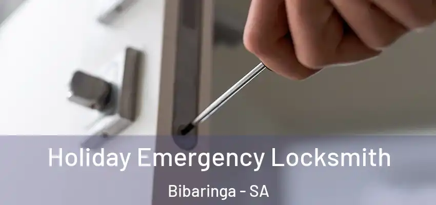 Holiday Emergency Locksmith Bibaringa - SA