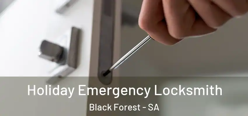 Holiday Emergency Locksmith Black Forest - SA