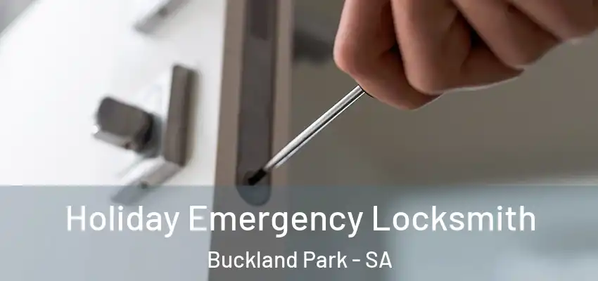Holiday Emergency Locksmith Buckland Park - SA