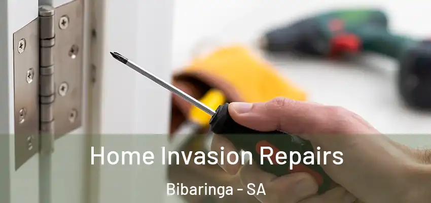 Home Invasion Repairs Bibaringa - SA