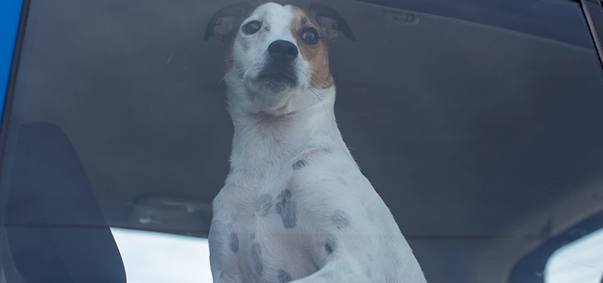 Car Lockout Solutions in Largs Bay, SA